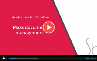 Sb e-Labour File New Functionalities Video