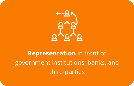Representation in front of government institutions, banks, and third parties